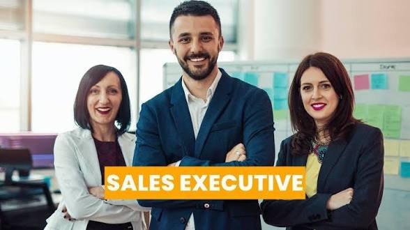 Sales executive